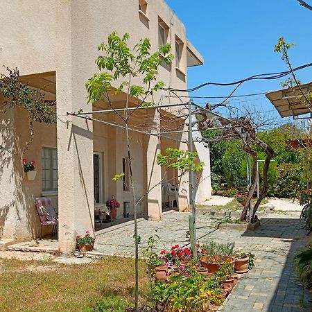 The Grapevine Guest House Пафос Екстериор снимка